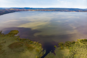 Algásodik a Balaton, de nem tudni, hogy most miért