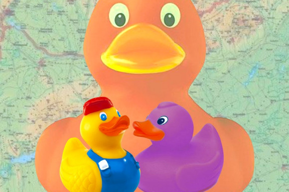 Aki úgy totyog és úgy hápog, mint a Fidesz.... – Selmeci János jegyzete