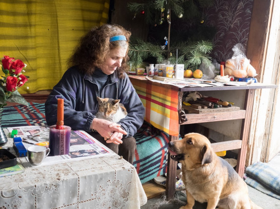 Polgármesterként erővel vette el a házat egy családtól, mehetnek, ahova tudnak