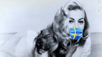 Mindenki svéd modell? - Selmeci János jegyzete