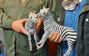 Arany Zebra-díj 2020