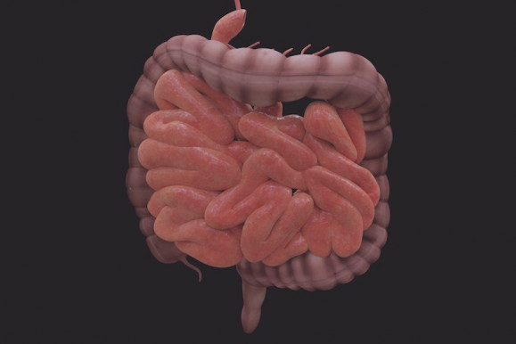 Korai felismeréssel a vastagbélrák ellen