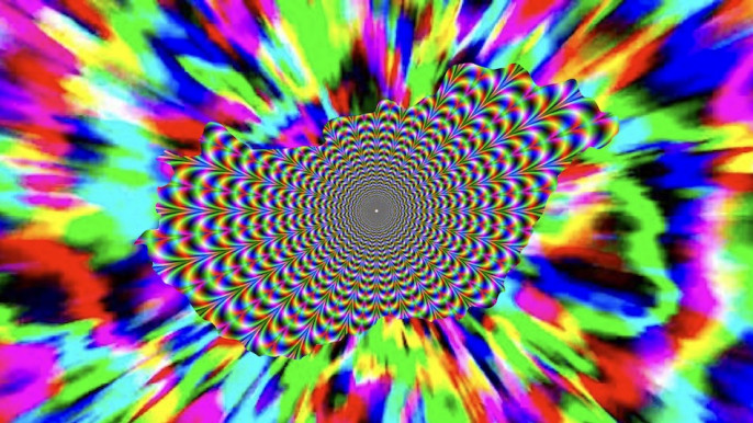 Ha pár éve azt mondtam volna, hogy.... - Selmeci János jegyzete