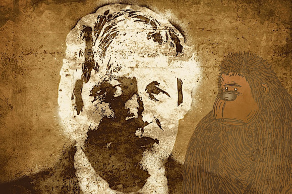 Majomország – Szénási Sándor jegyzete