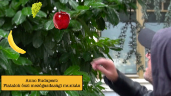 Fiatalok őszi mezőgazdasági munkán