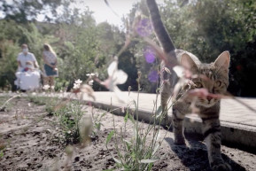 A test és a lélek feltöltődésére is szükség van a gyógyuláshoz