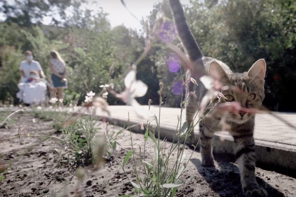 A test és a lélek feltöltődésére is szükség van a gyógyuláshoz