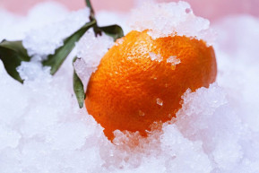 Kint hagyják Orbánt a hidegben