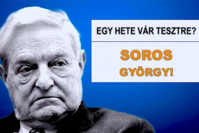 Pöttyös az inged? Soros György! - Selmeci János jegyzete