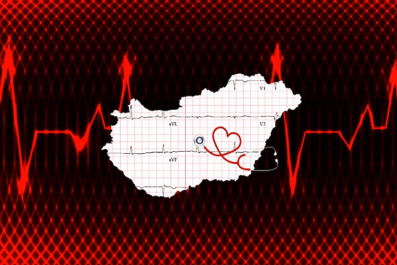 Egészségünk, egészségügyünk – Selmeci János jegyzete