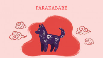 Szilveszteri Parakabaré