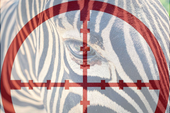 „Politikai döntés született a Klubrádióról, Orbán akarata szerint”