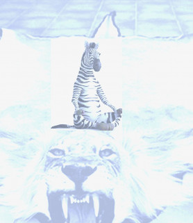 Szolidaritás, elszántság, és nem félni! – Kárpáti Iván jegyzete