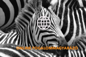 Fogalommagyarázó kisokos