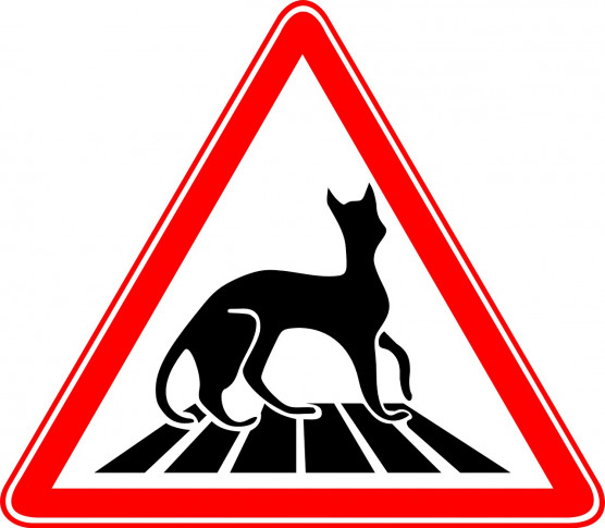 A macska miákol – Dési János jegyzete