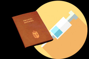 Narancs diploma – Dési János jegyzete