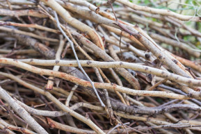 A nyomorból a nyomorba és/vagy ki onnan