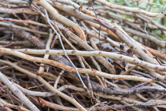 A nyomorból a nyomorba és/vagy ki onnan
