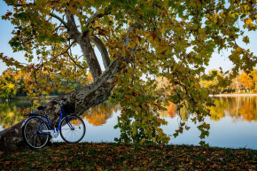 Többen szavaztak az érvénytelen tatai népszavazáson a luxusszálló ellen, mint a fideszes polgármesterre
