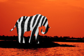 A Klubrádió szólni fog, mert szólnia kell - Hardy Mihály jegyzete