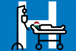 A Magyar Beteg – Hardy Mihály jegyzete