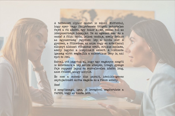 Debate-re fel! – Szénási Sándor jegyzete