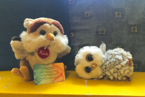 Oltottak és oltatlanok, egyenlők és egyenlőbbek