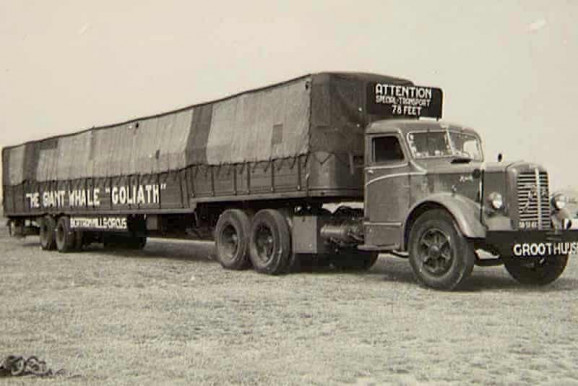 Anno Budapest: Góliáth, az óriásbálna