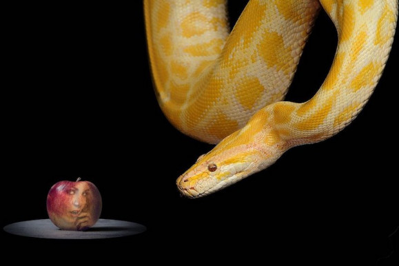 Megkísértés a 21. században