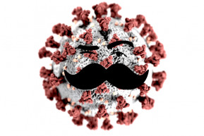 A magyar vir(t)us – Kárpáti János jegyzete