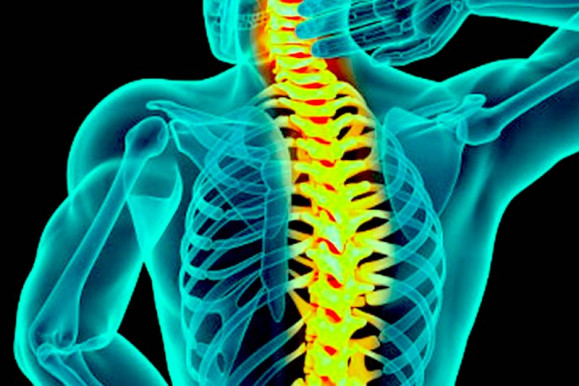 Az elvi politizálás fájdalmas hiánya - Selmeci János jegyzete 