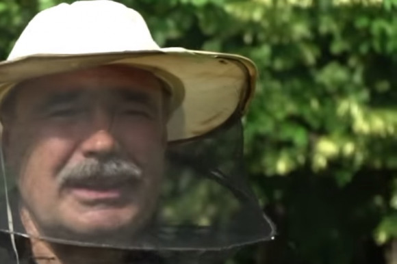 Méhcsaládot telepítenek az Agrárminisztérium erkélyére