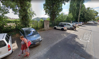 Magasról tettek a helyiekre, kivágták a Csörsz utcai fákat