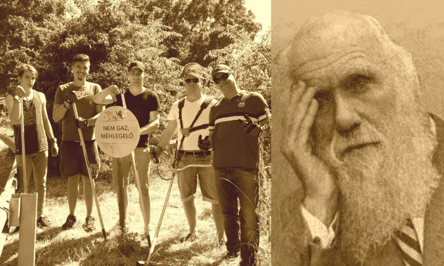 Méhlegelők, kretének, magyar nyomor  – Kárpáti Iván jegyzete