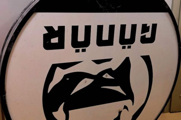 Sirály helyett Gödör