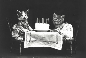 Büszkeség, csókküldemény, festett fotó