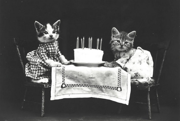 Büszkeség, csókküldemény, festett fotó