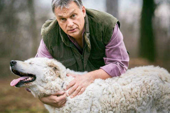 A Fidesz tette lehetővé az ebadót, de most azzal riogat, hogy Tisza be akarja vezetni