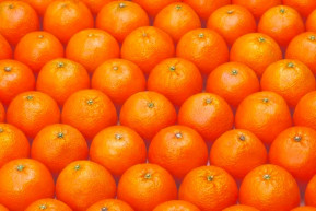 A siker száma a 35 – Kárpáti Iván jegyzete