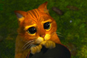 Bocsánatot kérni jó – Selmeci János jegyzete