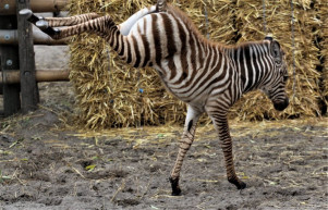 Itt van az ősz, új műsorok a Klubrádióban