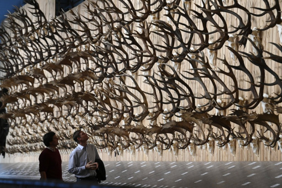 Eszköz a többi élőlény megismeréséhez és megértéséhez?