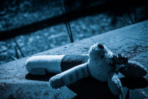 Aki állatot kínoz, emberre készül?