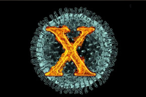 Felkészülni az x-edik hullámra – Selmeci János jegyzete