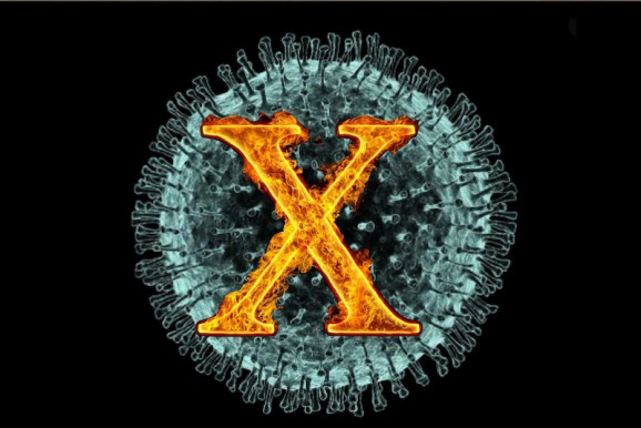 Felkészülni az x-edik hullámra – Selmeci János jegyzete