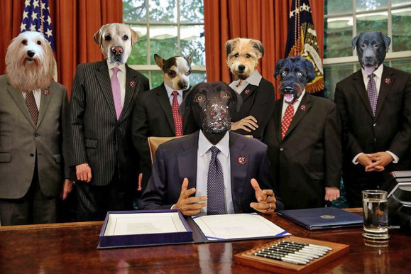 Kovács Gergely: Elhívjuk kávézni az összes kerületi fideszes vezetőt, hátha kénytelenek lesznek távozni a politikából