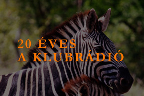 Mi együtt sírunk, de főleg együtt nevetünk...