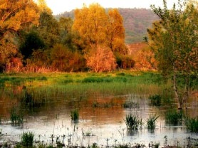 Ők se szeretnek dugóban ülni, de szerintük ez nem ok a természetkárosításra