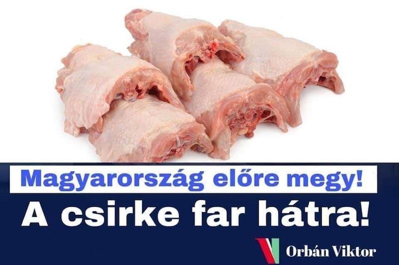 csirkefarhát
