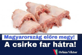 Mától már maximált a csirkefarhát ára